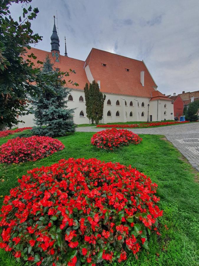 Via Transilvanica Sighisoara Ξενοδοχείο Εξωτερικό φωτογραφία